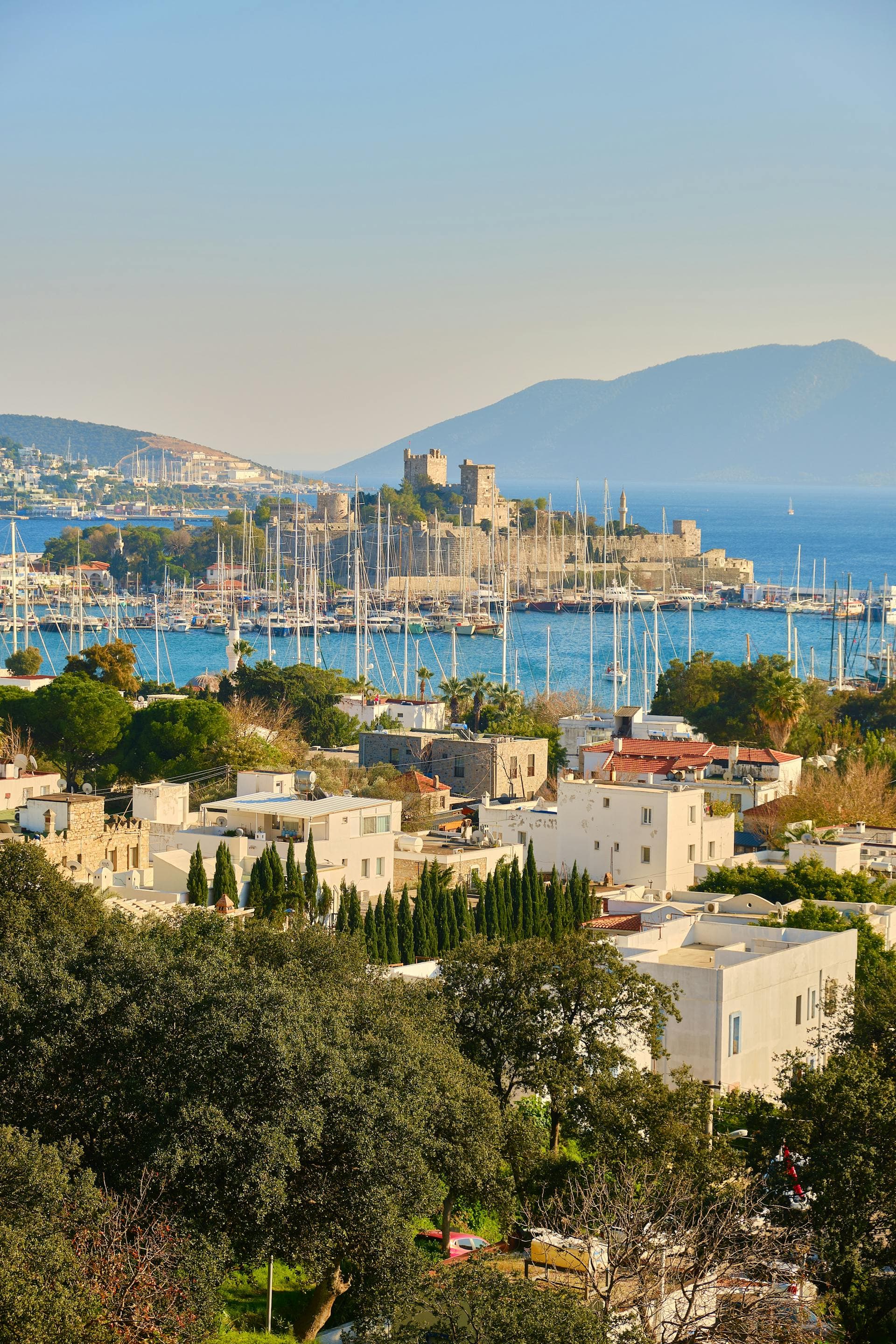 Aegean Longevity Reset